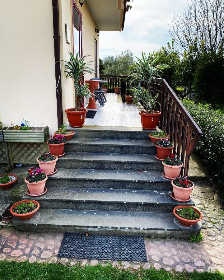 B&B Villa Dei Fiori Santa Eufemia Lamezia Bagian luar foto