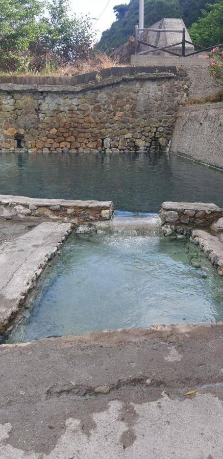 B&B Villa Dei Fiori Santa Eufemia Lamezia Bagian luar foto