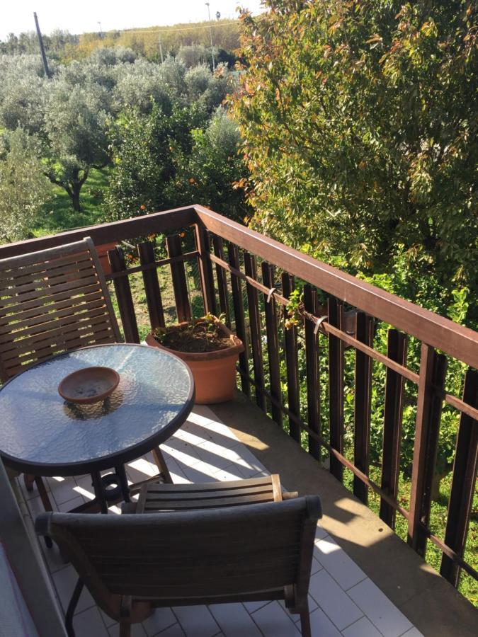 B&B Villa Dei Fiori Santa Eufemia Lamezia Bagian luar foto
